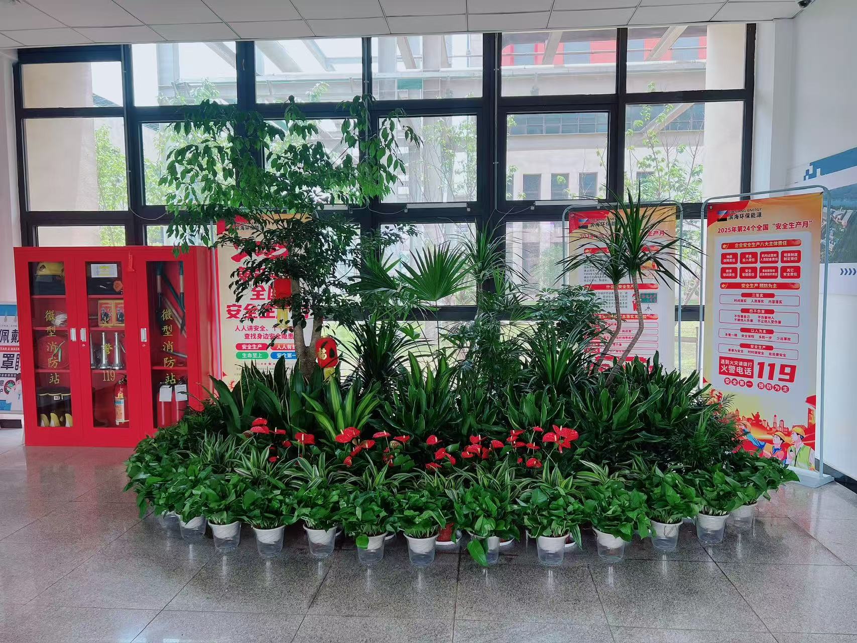 宁波余姚绿植租摆服务好